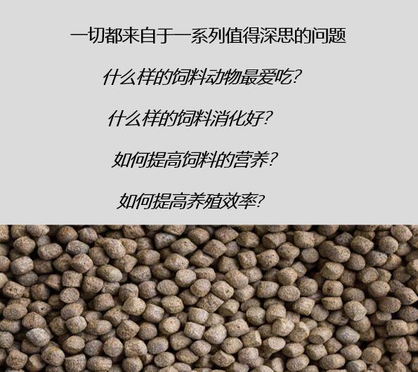 关于饲料生产的熟化工艺，以及保持器/保质器的应用解析